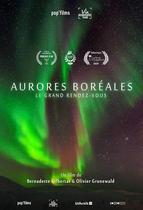 Projection "Aurores boréales"_Roybon