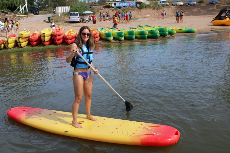 paddle arena - WGP