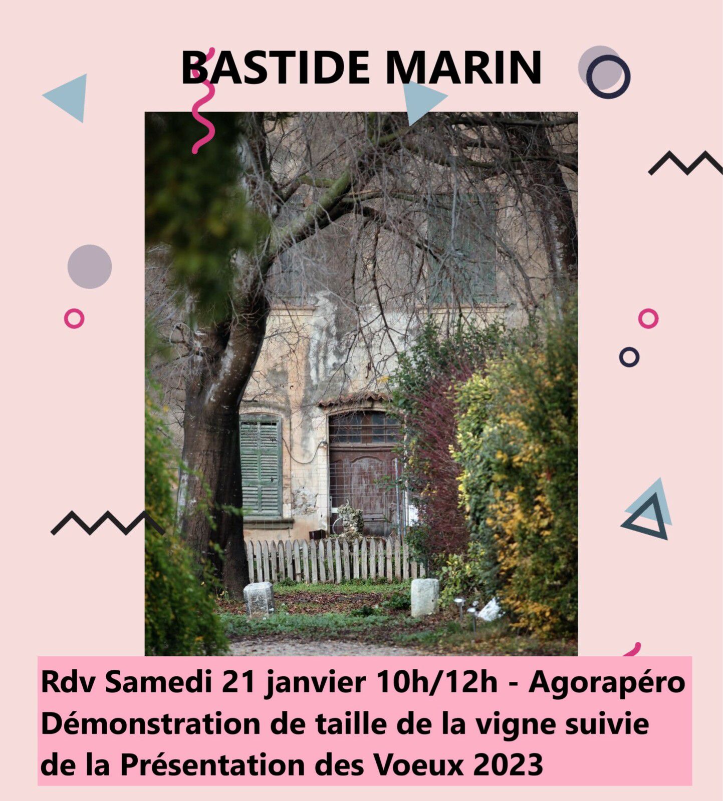 Agorapéro Démonstration de Taille de la Vigne