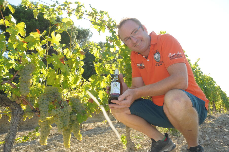 le vin blanc du domaine