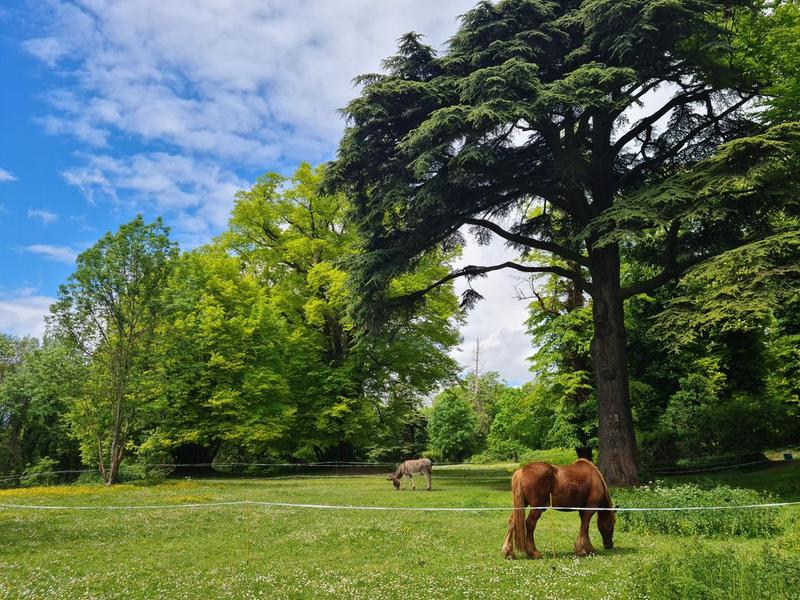 Parc de Montjean 