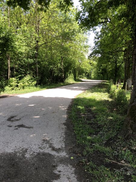 Entrée dans la campagne