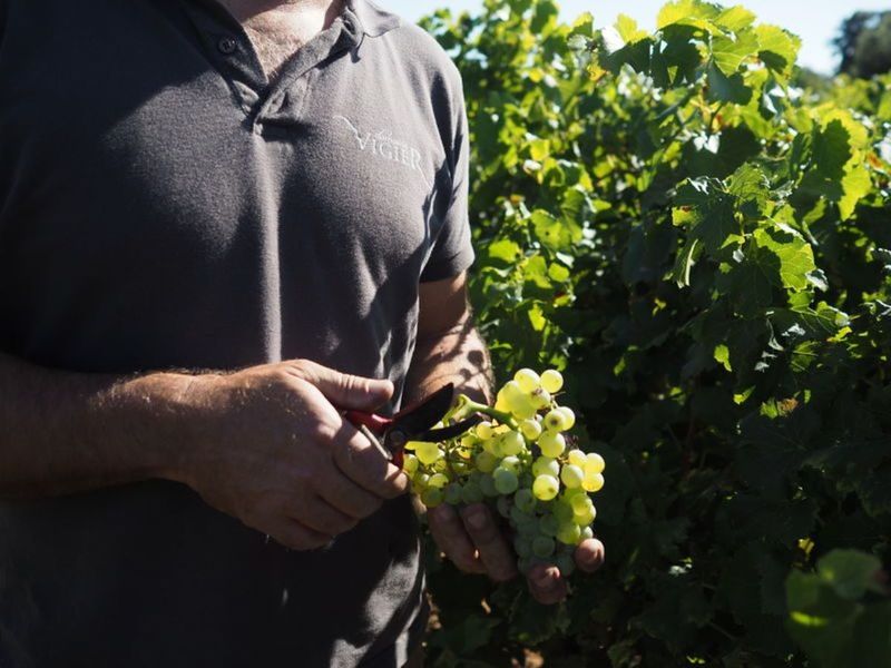 Des gestes qui ne changent pas