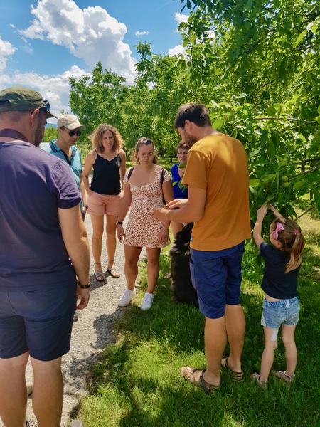 Visites guidées pendant les vacances