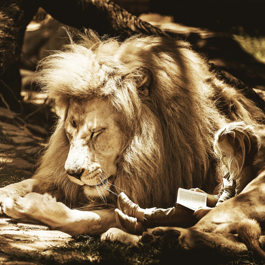 Petits Bouts d'histoires