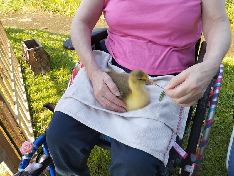 Ferme pédagogique La Bicoque