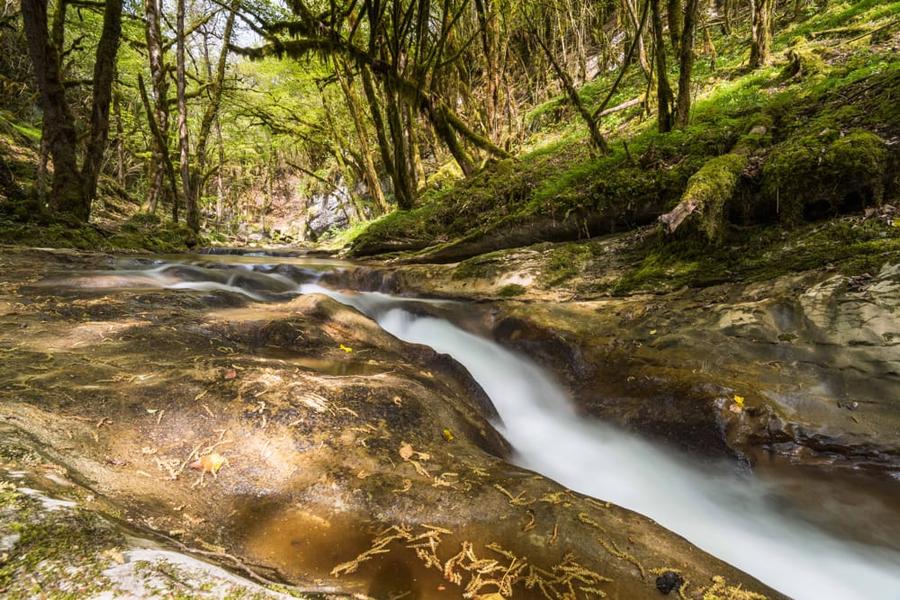 Les rencontres sauvages de la rivière