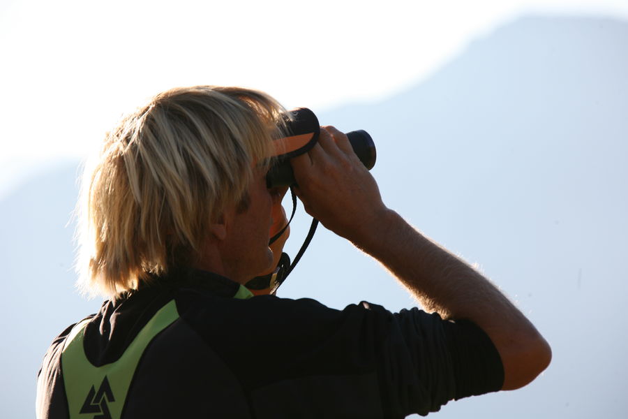 Observation des chamois