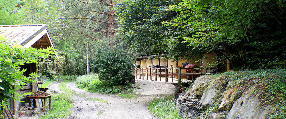 Image 10