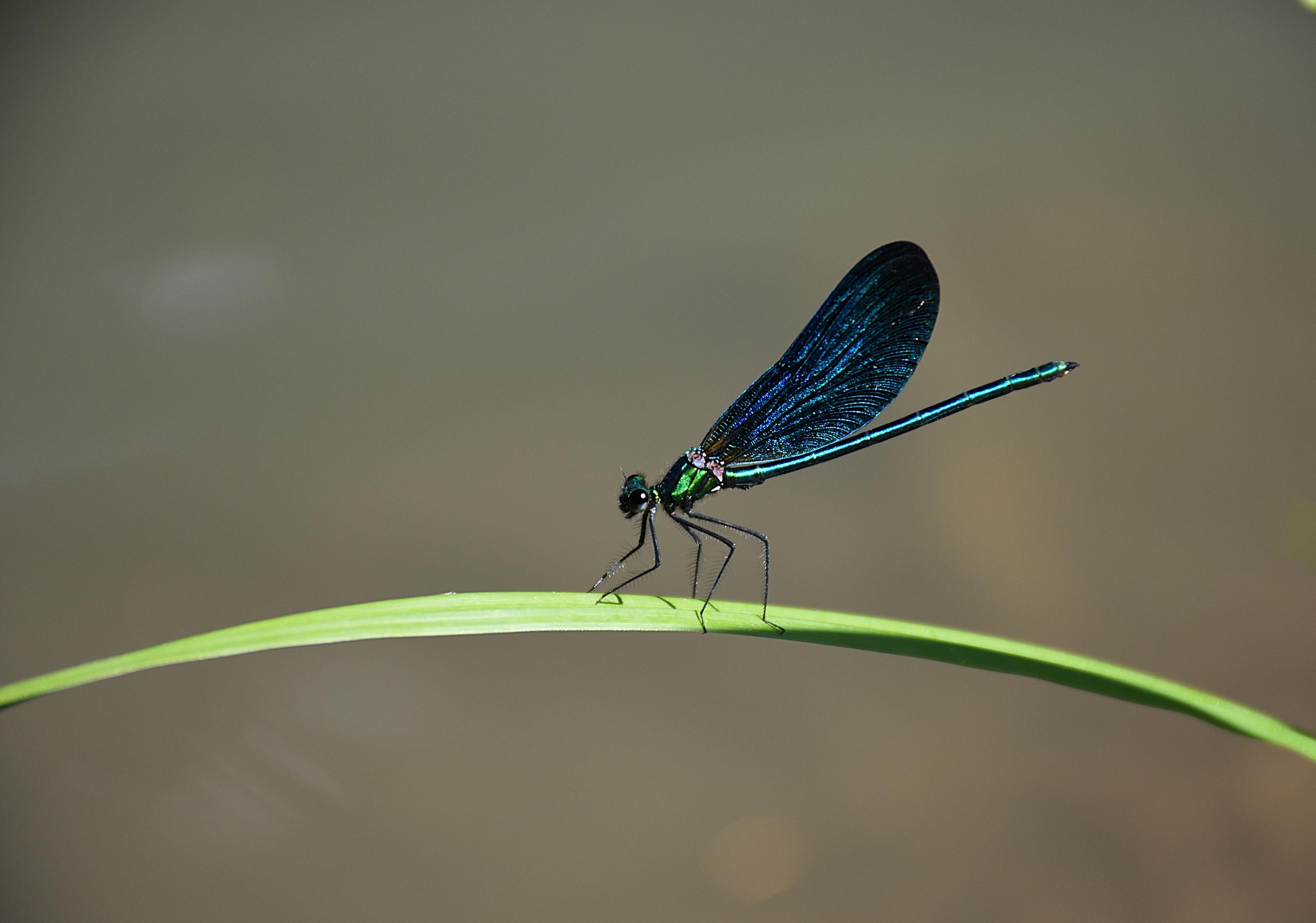 Vis ma vie de naturaliste