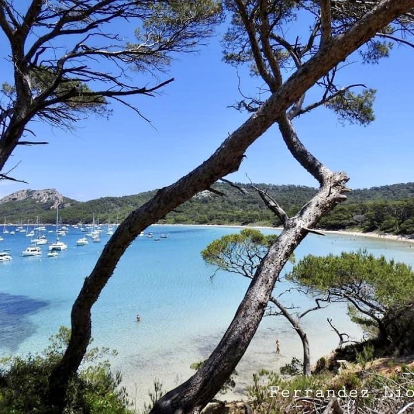 Gîte Port Miou, Cuges-les-Pins - photo 12