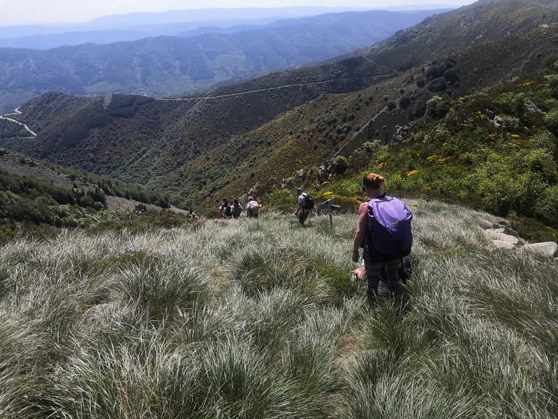 La Souche - Haut du Mont Aigu©M.Barkats