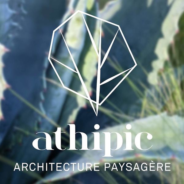 Athipic
