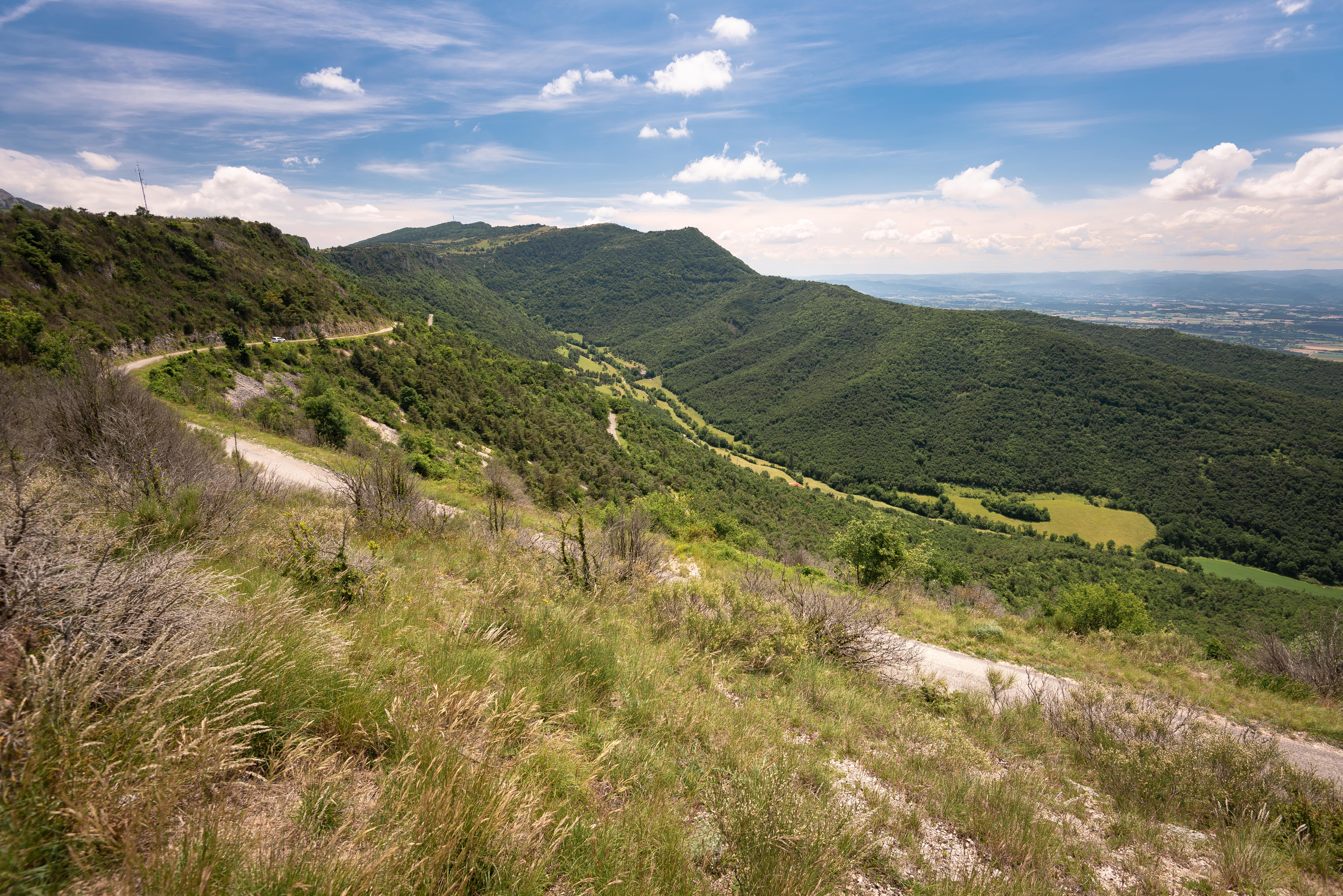 High Wooded Ridge Example Le pas du Buis - La Drôme Tourisme