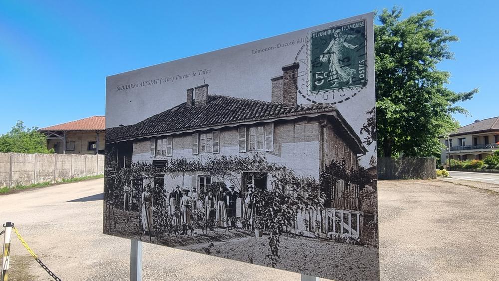Circuit VTT n°24 (rouge) - La St Martin_Montrevel-en-Bresse