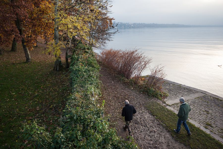 Sentier de la Pinede