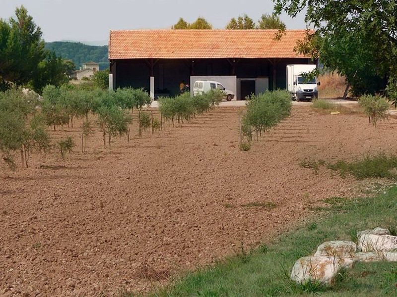 Le jardin de Léa — photo 2