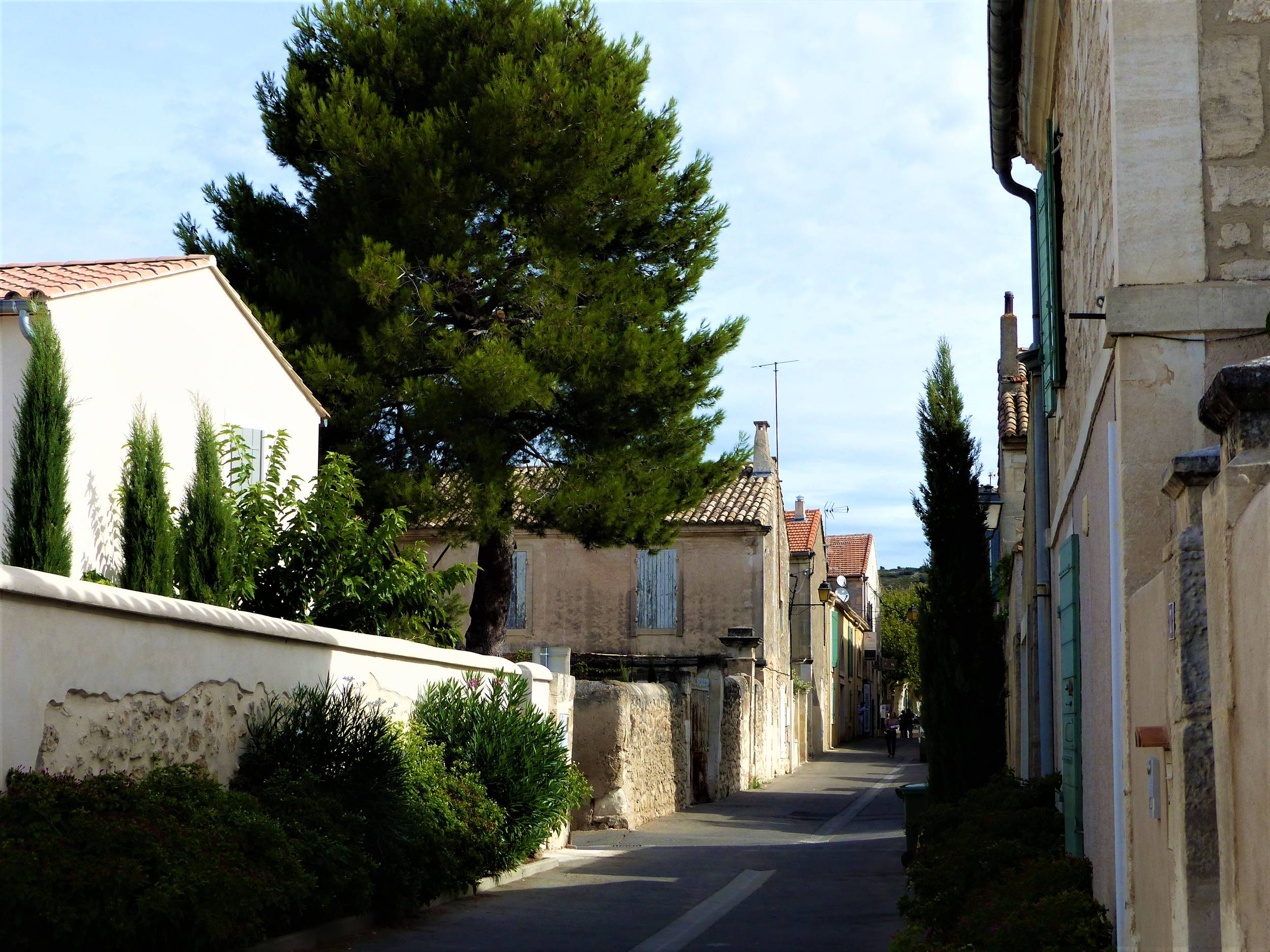 MAUSSANE-LES-ALPILLES - Au fil de l'eau, Maussane-les-Alpilles - photo 5