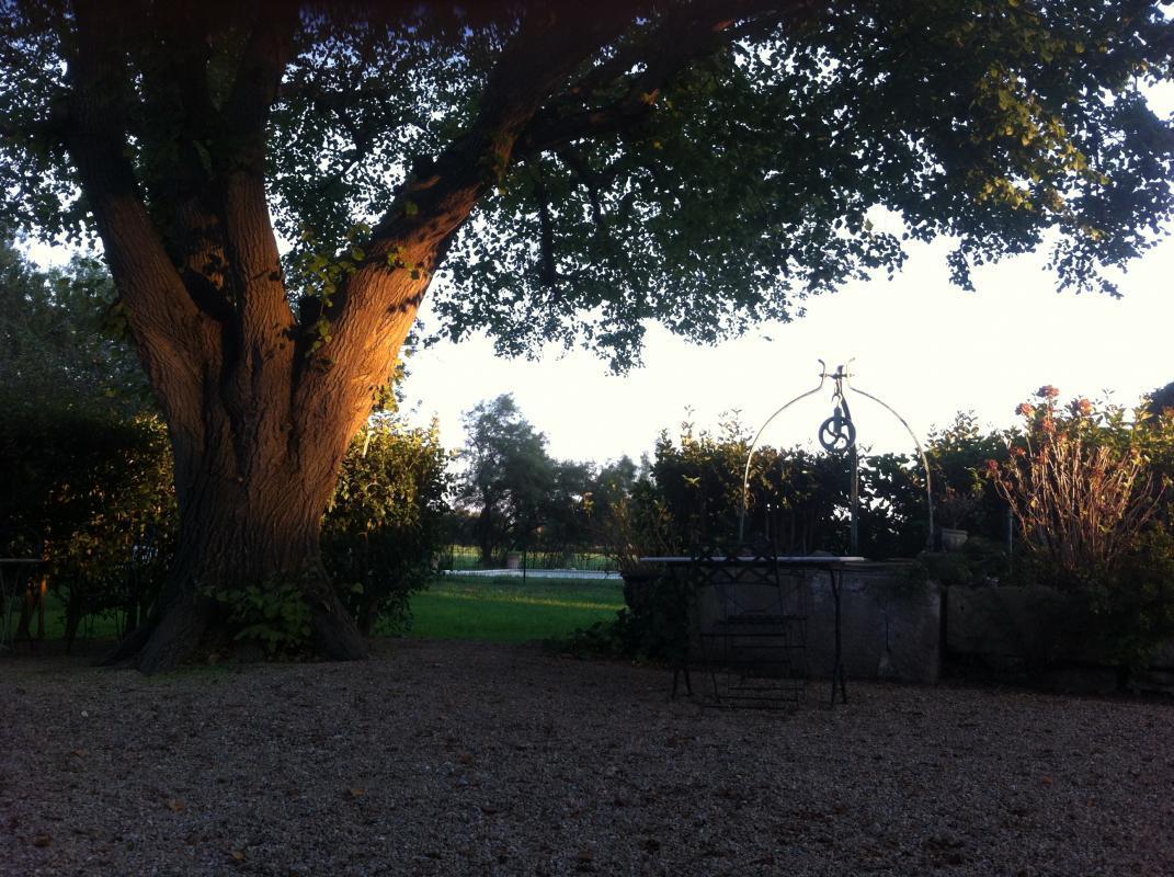 Mas L'Oustal, Arles - photo 22