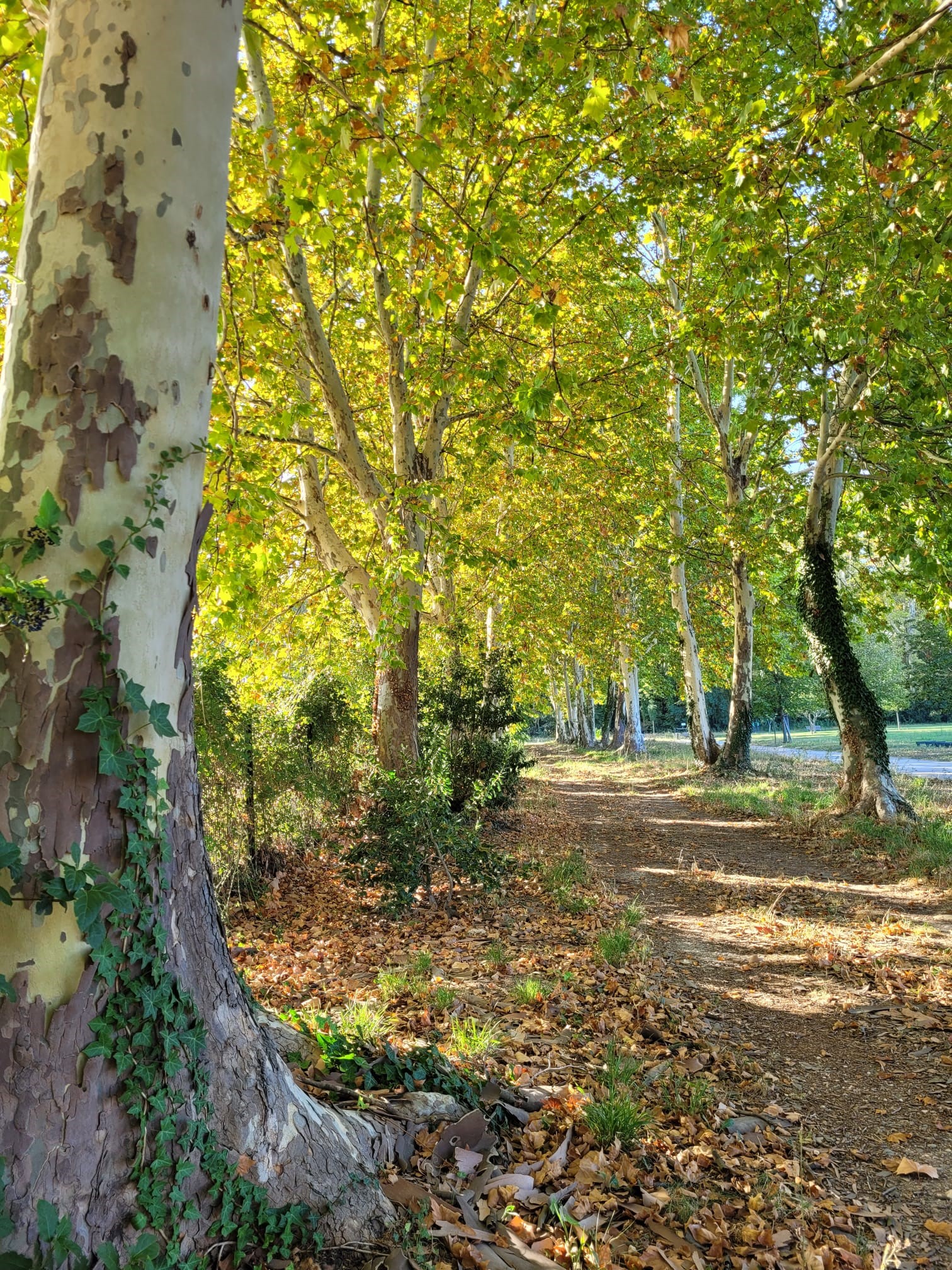 Parc des Sports et des Loisirs