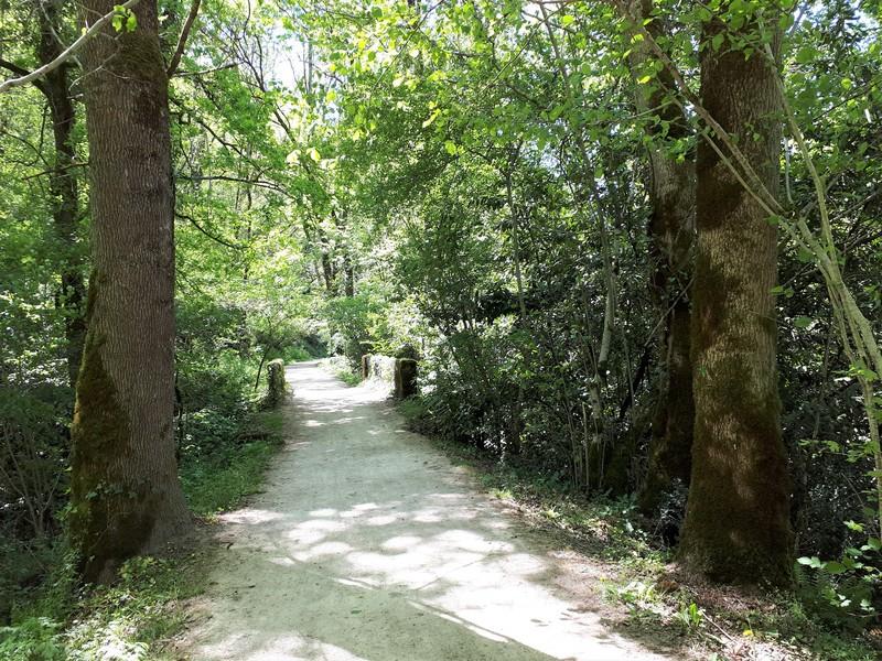 Vélo petites routes - Au fil de  l'Agout via Burlats et Roquecourbe.