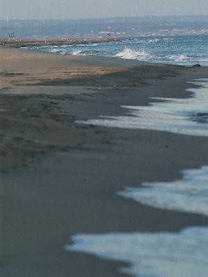 They de la Gracieuse et They de Roustan