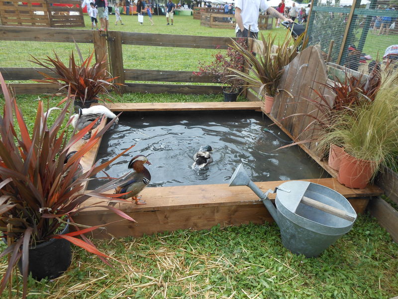 Nature en fête à La Londe les Maures