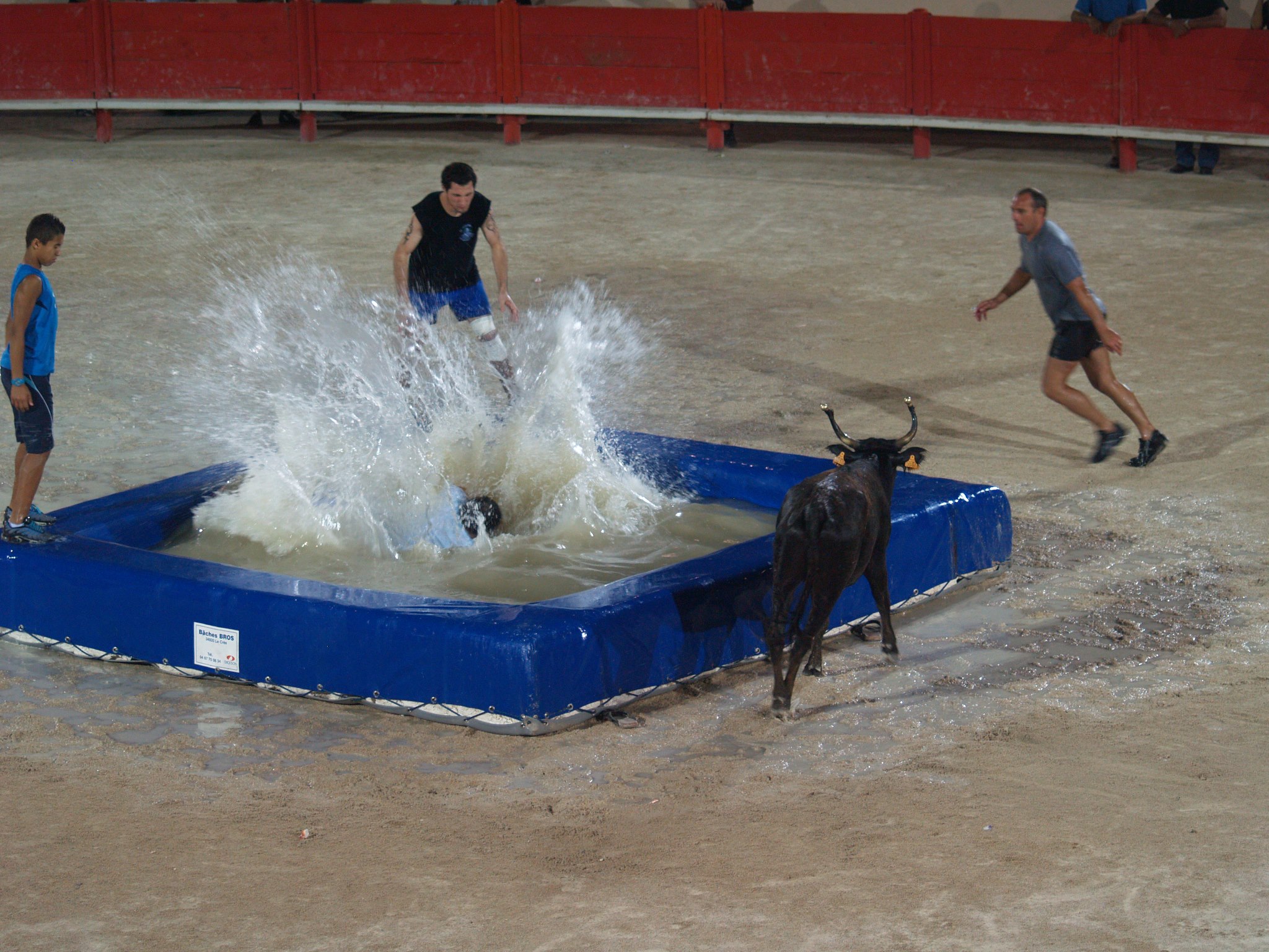 Tarascon Taureau Piscine / Club
