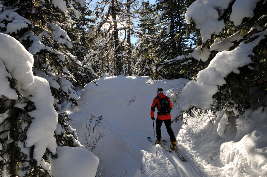 Itinéraire ski de randonnée : Les Coches - Plan Bois