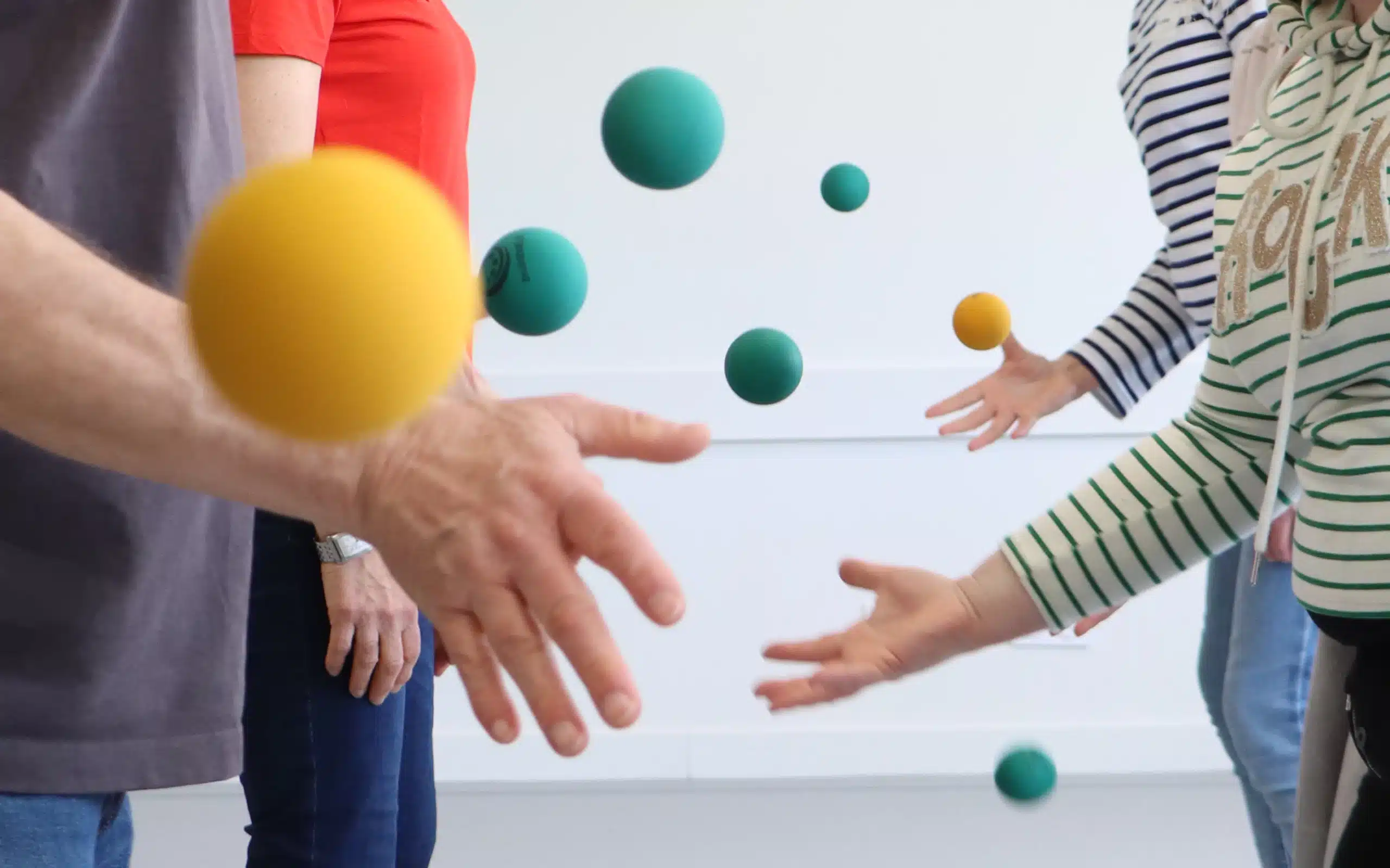 Atelier Brain- Ball