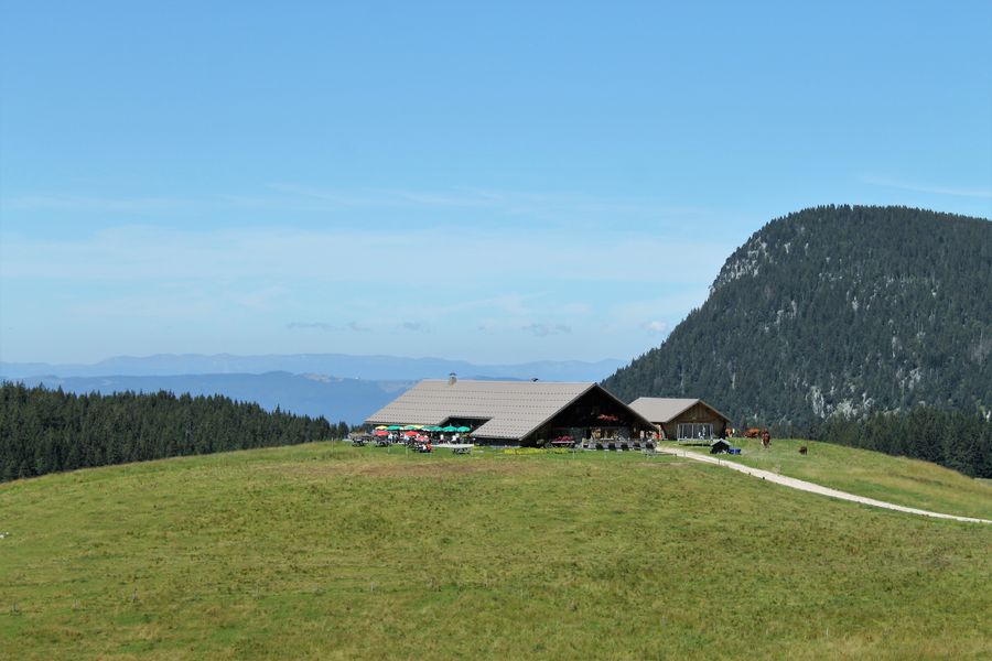 Notre Dame des Neiges