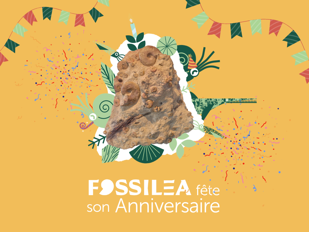 Museo Fossilea Anniversario_Saint-Jean-des-Vignes