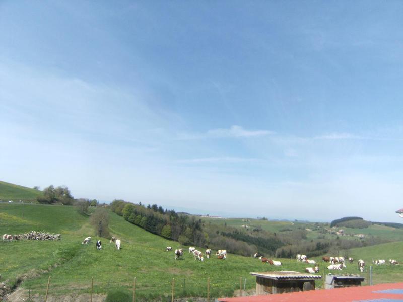 Gîte à la Ferme \'Au Col du Pin Bouchain\' - Les Sauvages (Rhône - Monts du Beaujolais) : vue depuis la fenêtre de la cuisine sur La Loire