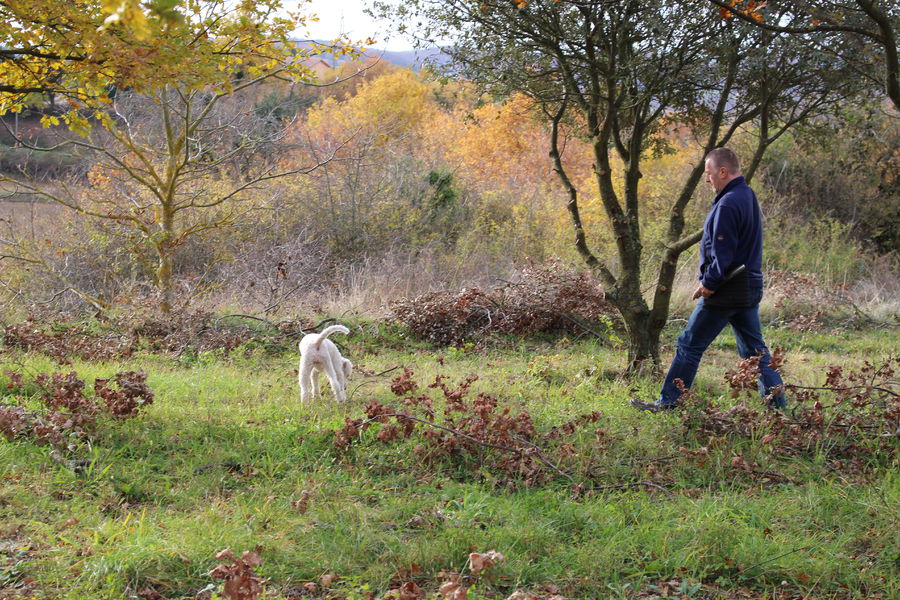 De la truffière à l'assiette en compagnie d'un Chef