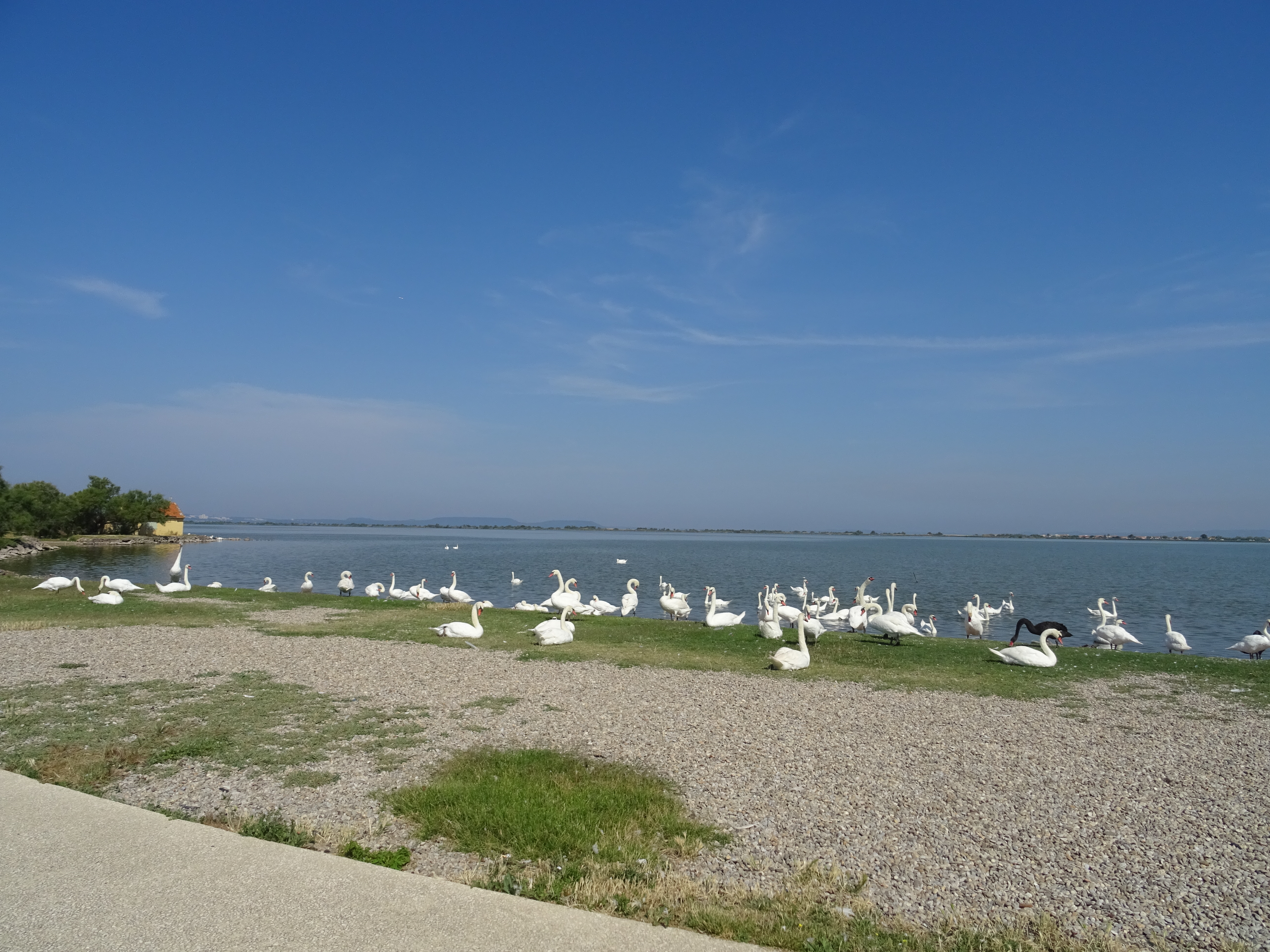 Bouches-du-Rhône en Paysages - Marignane, au fil de l'eau - photo 4