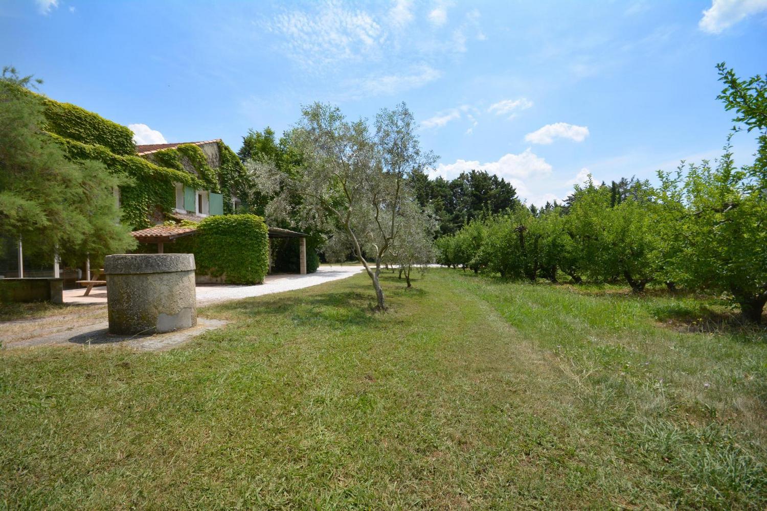 L'Aouduletto, Mallemort - photo 25