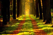 Sentier