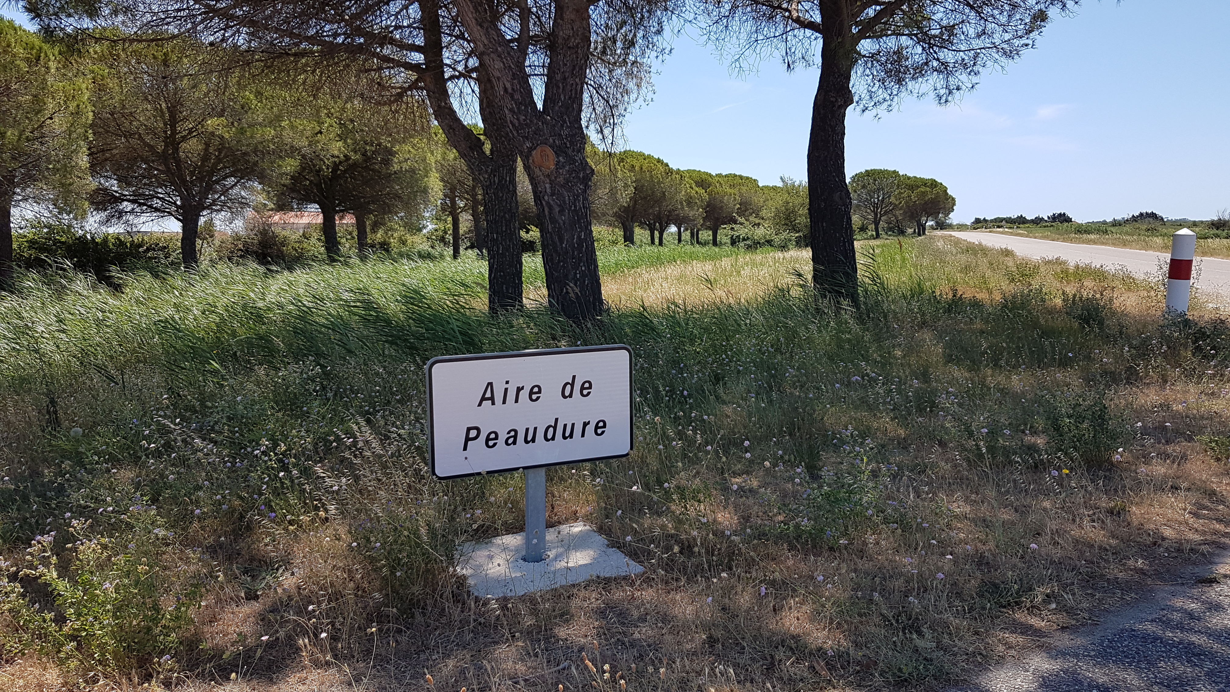 Aire de pique-nique de Peaudure