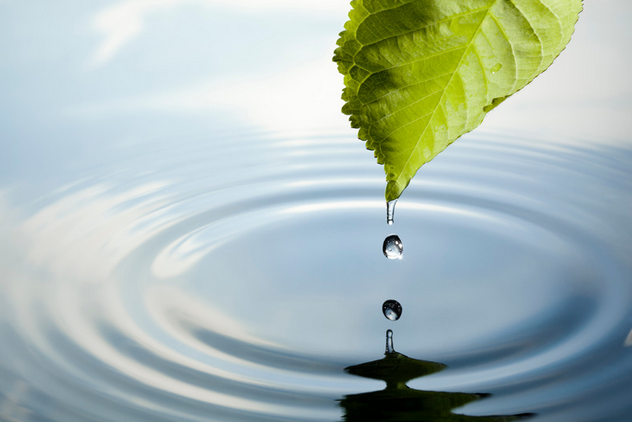 C'est la goutte d'eau !