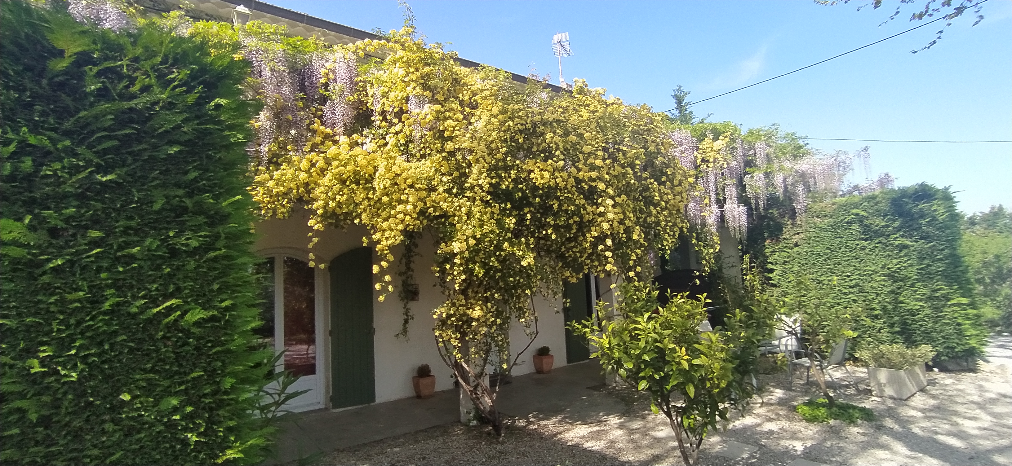 Les Glycines, Cabannes - photo 4