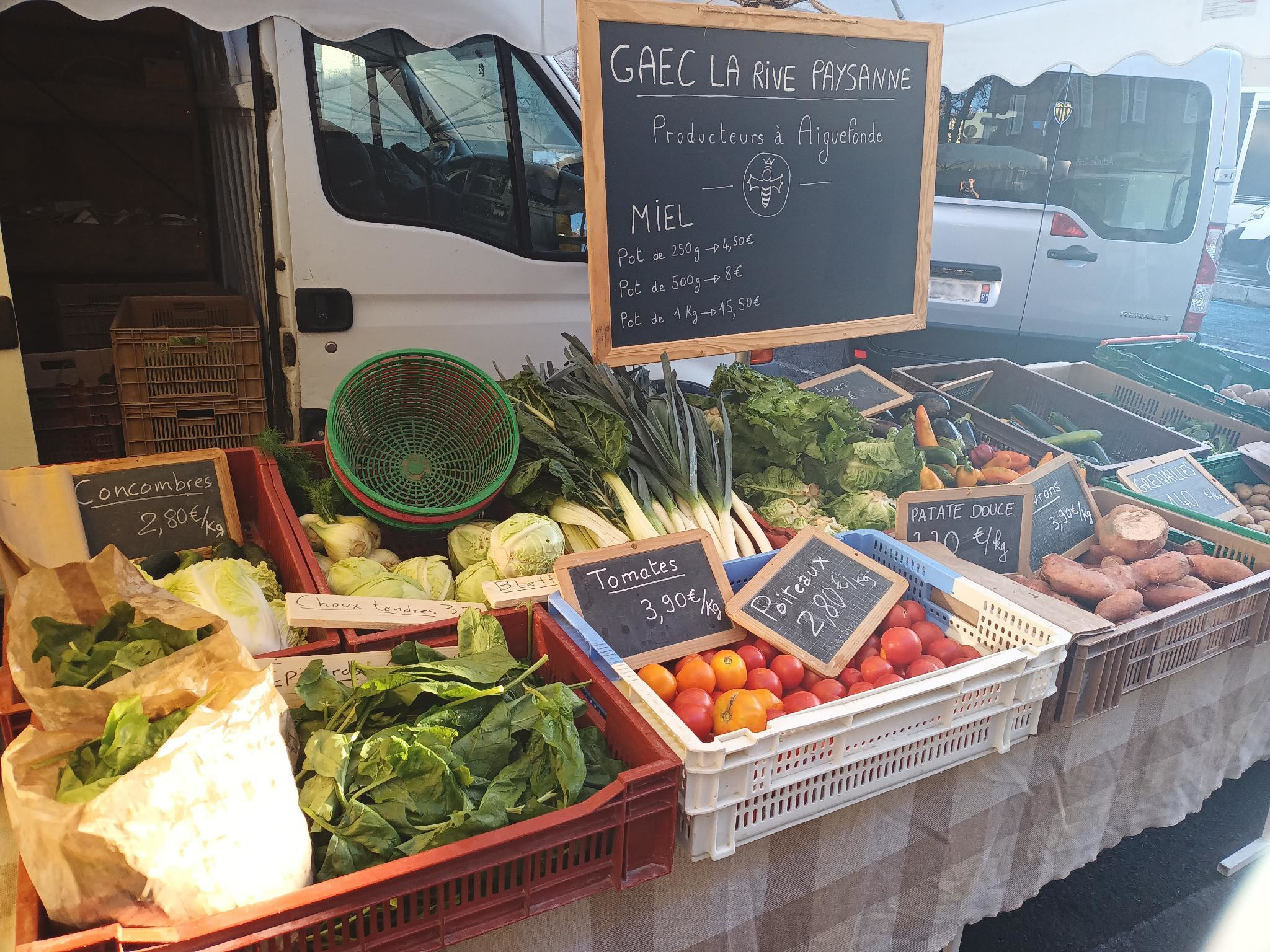 485303523_661964153442147_7618331001144318793_n