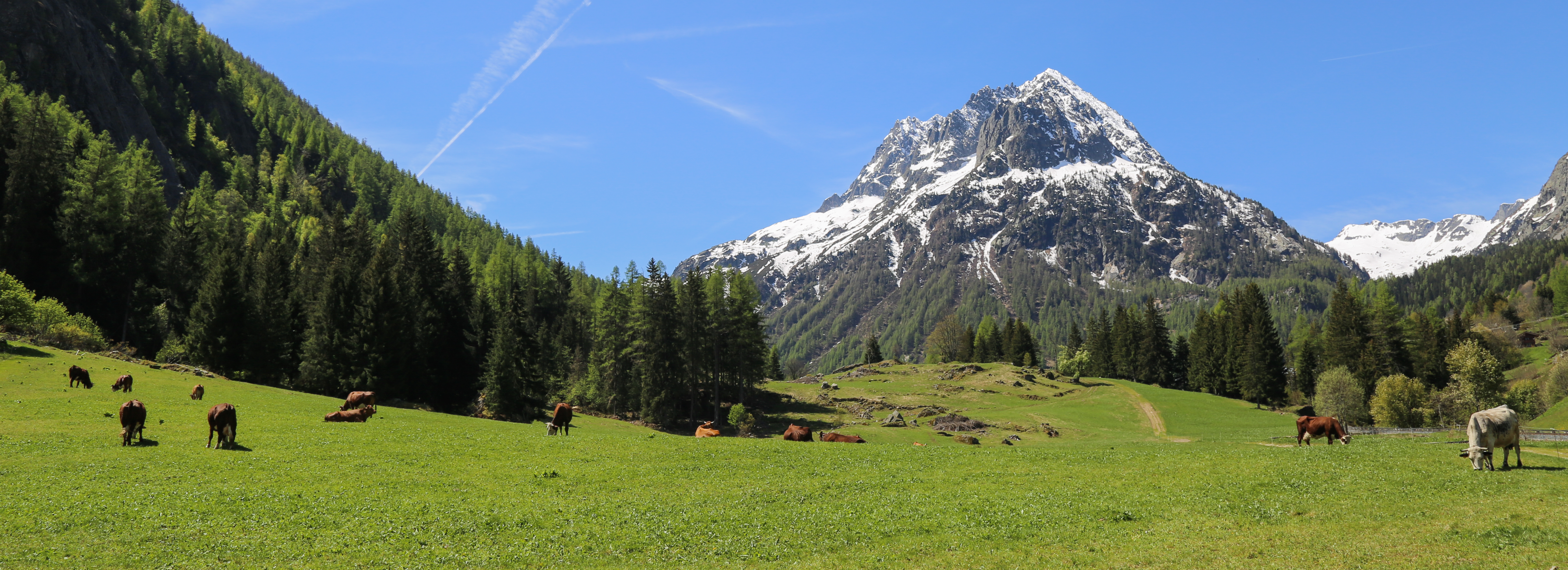 OT Vallée de Chamonix - Salomé ABRIAL-7861