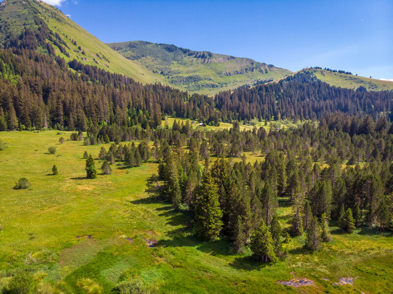 Tourbière de Sommand