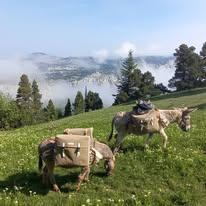 Balades au Pas de L'Ane : Journées et Bivouacs sans voiture_Saint-Martin-de-Clelles