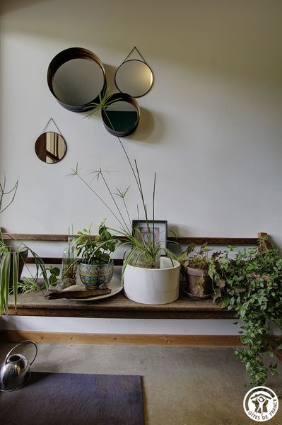 les plantes vertes dans l'entrée