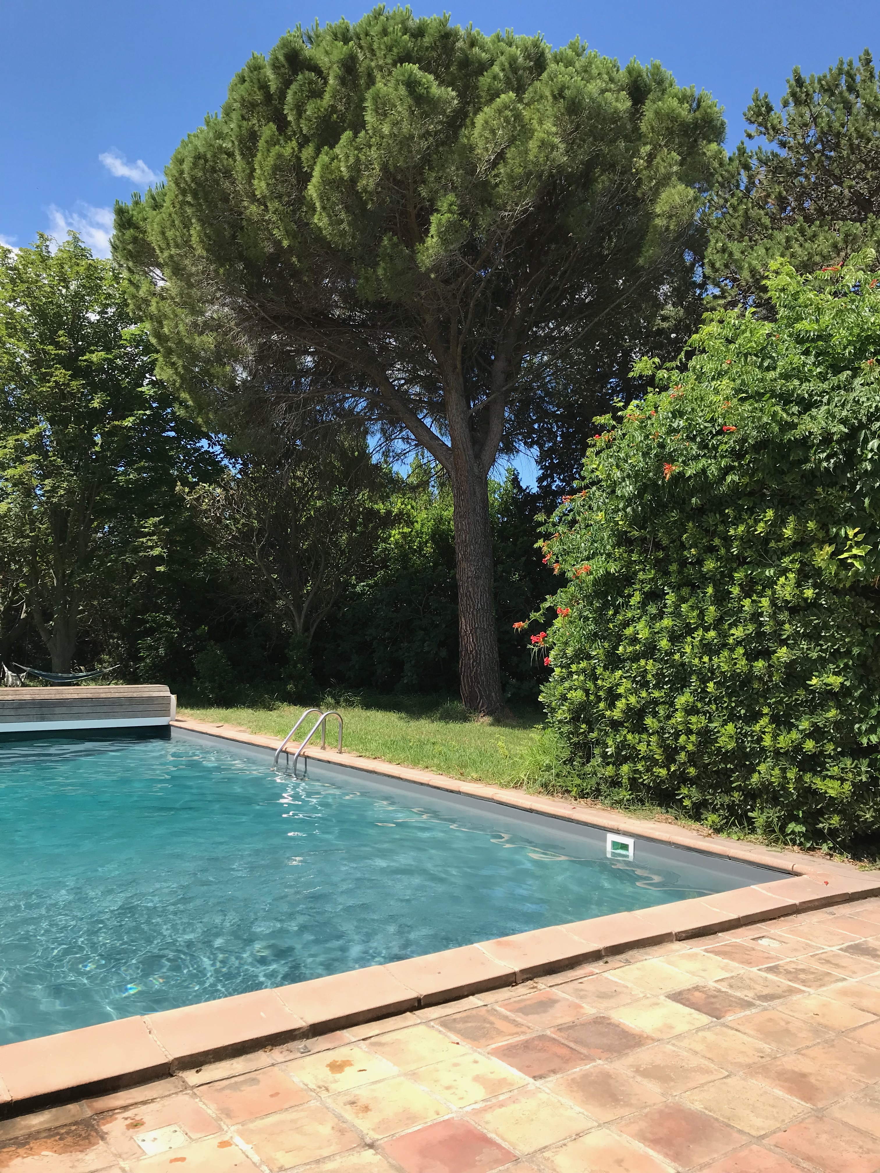 Mas des Figuiers — photo 3