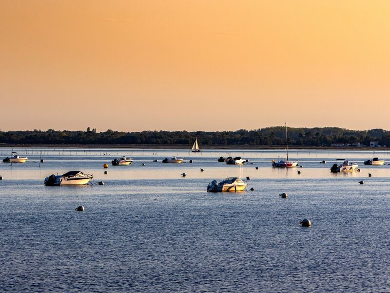 Zone de mouillage "La Pointe aux Herbes"
