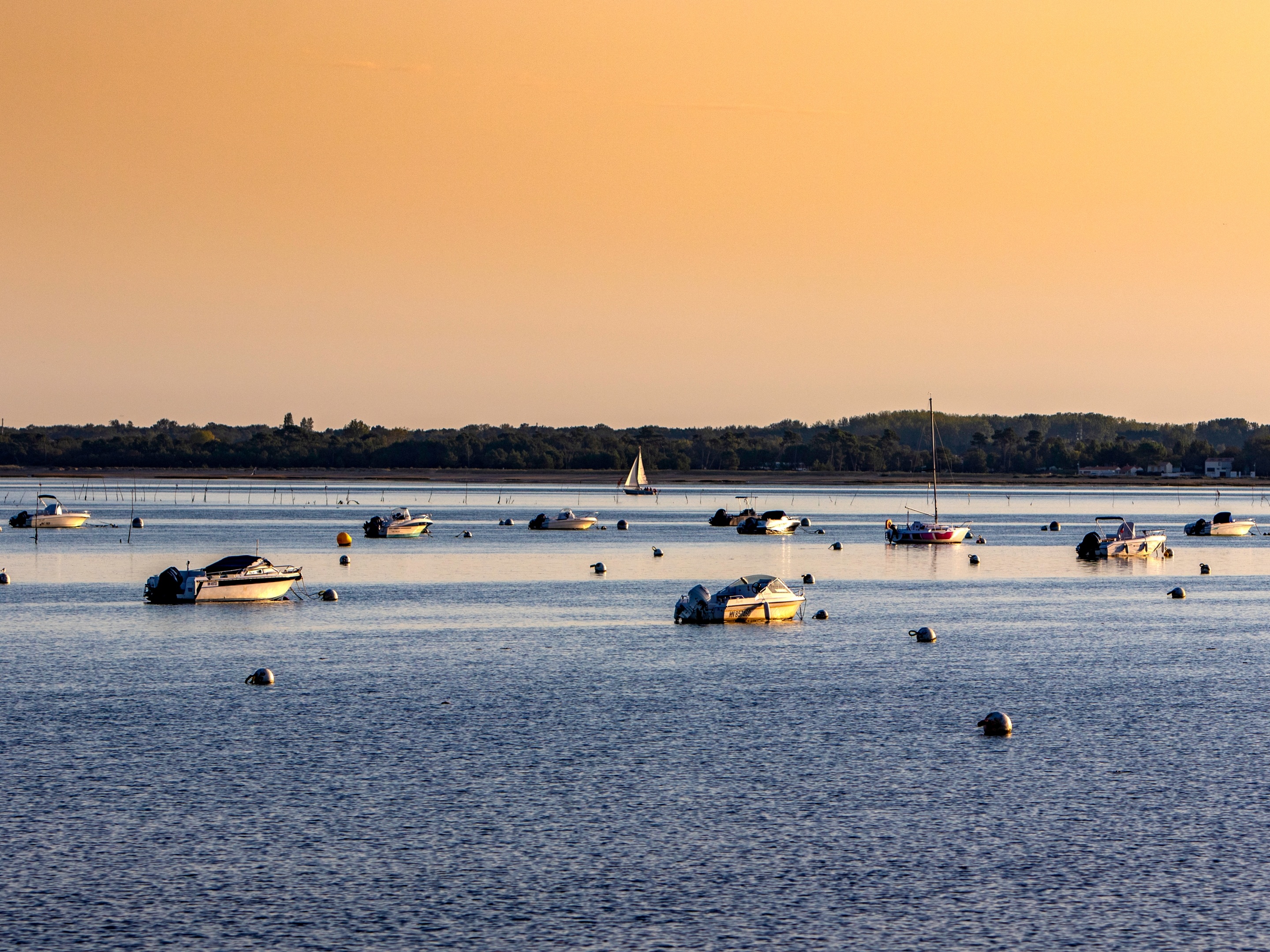 Zone de mouillage "La Pointe aux Herbes"