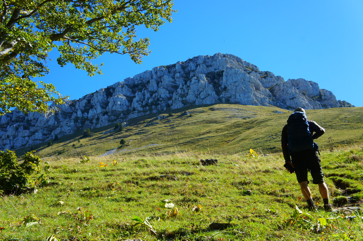 photosFeed-https://static.apidae-tourisme.com/filestore/objets-touristiques/images/6/34/42279430.jpg