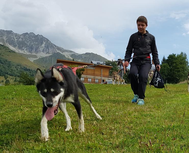 Cani-rando à Aussois